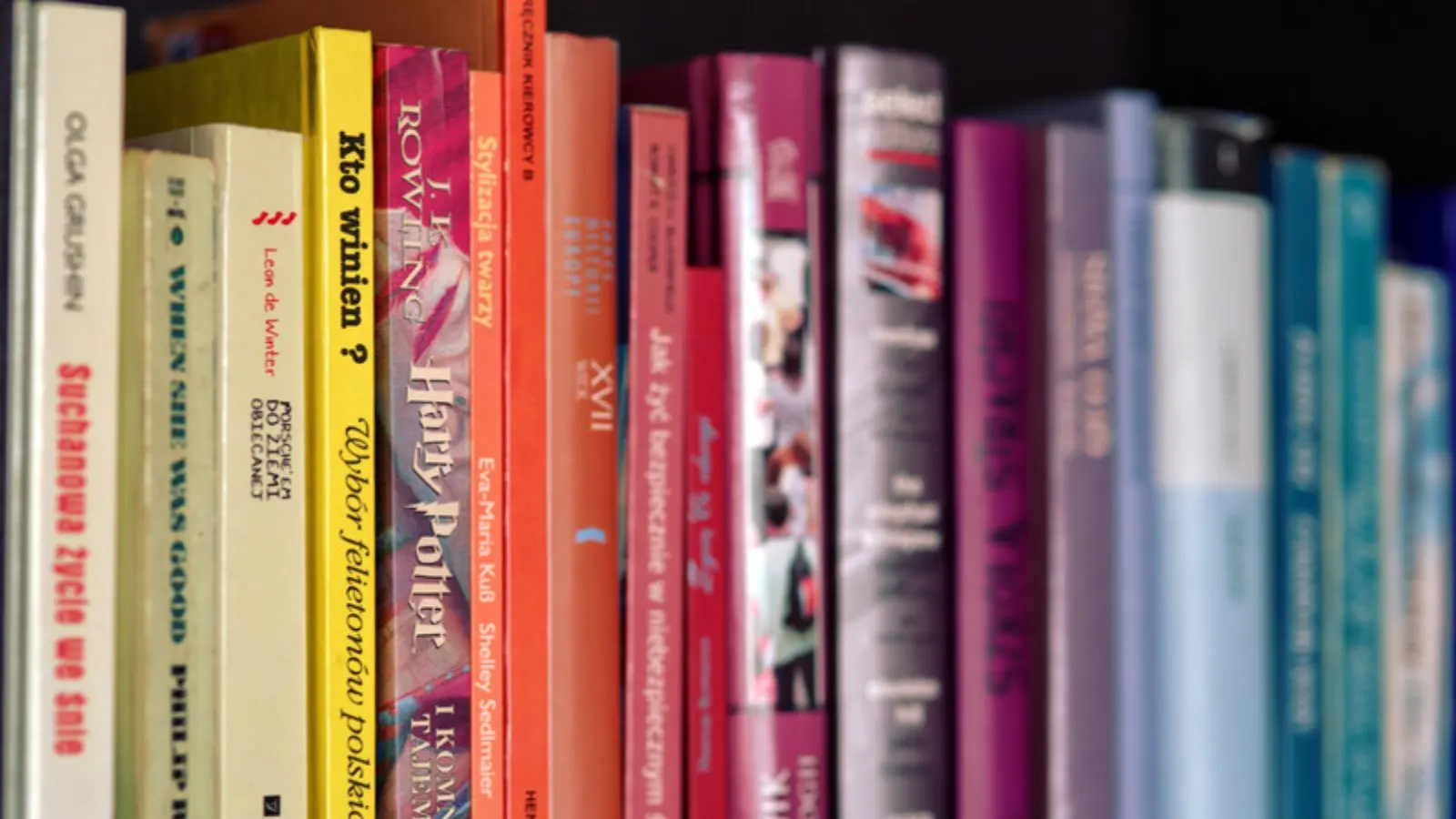A row of paperbacks standing on a shelf, seen close up along their brightly coloured spines