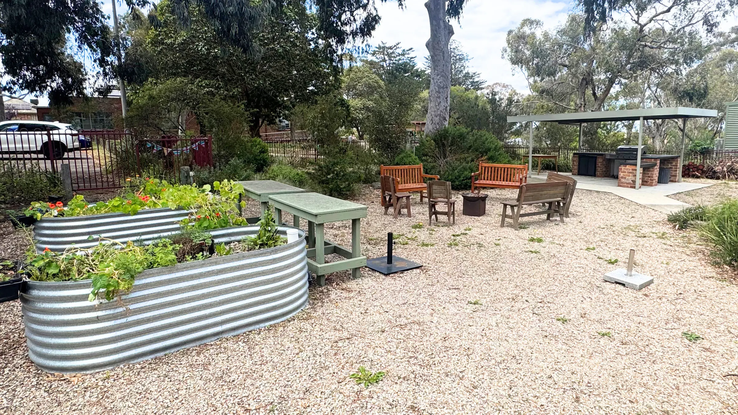 A gravelled garden with two curved corrugated steel raised beds planted with nasturtiums and leafy greens, two green-painted tables beside them, wooden chairs and benches grouped in the middle, and a brick barbecue under a green roof beyond, all under tall gum trees